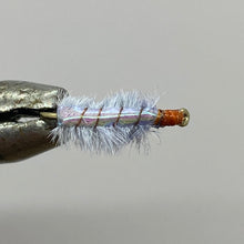 Load image into Gallery viewer, One Dozen (12) - Ray Charles - Grey