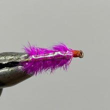 Load image into Gallery viewer, One Dozen (12) - Ray Charles - Pink - Nymph