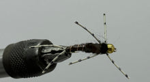 Load image into Gallery viewer, One Dozen (12) - Tungsten Beadhead Stonefly - Black - Nymph