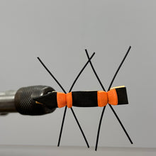 Load image into Gallery viewer, One Dozen(12) Chernobyl Ant- Black/Tan- Terrestrial