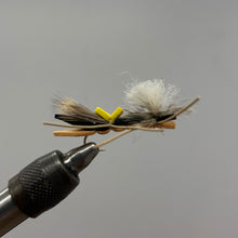 Load image into Gallery viewer, Parachute Foam Hopper Tan- 12 Pack- Terrestrial