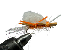 Load image into Gallery viewer, One Dozen (12) - Chubby Chernobyl - Sparkle Tan and Gold - Terrestrial