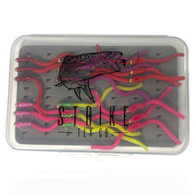 Load image into Gallery viewer, Transparent tackle box with colorful fly fishing lures and 'Strike Fly Co.' branding.