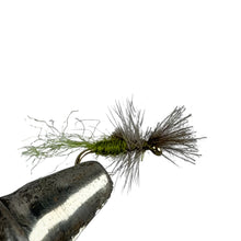 Load image into Gallery viewer, Fishing fly on a hook against a white background