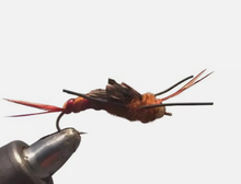 Load image into Gallery viewer, 18 Piece Stonefly Nymph Assortment- Strike Fly Company