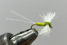 Load image into Gallery viewer, One Dozen (12) - Blue Winged Olive - Spinner