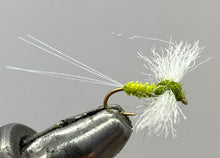 Load image into Gallery viewer, One Dozen (12) - Blue Winged Olive - Spinner