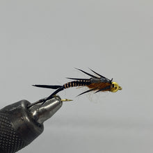 Load image into Gallery viewer, One Dozen (12) Beadhead Wired Stonefly Black/Copper- Strike Fly Company