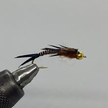 Load image into Gallery viewer, One Dozen (12) Beadhead Wired Stonefly Black/Copper- Strike Fly Company