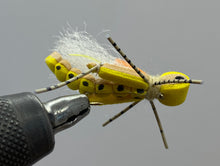 Load image into Gallery viewer, One Dozen (12) - Thunder Thigh Hopper - Yellow - Terrestrial