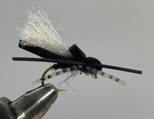 Load image into Gallery viewer, One Dozen (12) - Mormon Cricket - Terrestrial