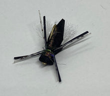 Load image into Gallery viewer, One Dozen (12) - Mormon Cricket - Terrestrial