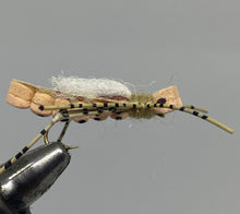 Load image into Gallery viewer, One Dozen (12) - White Cloud Hopper - Light Peach - Terrestrial