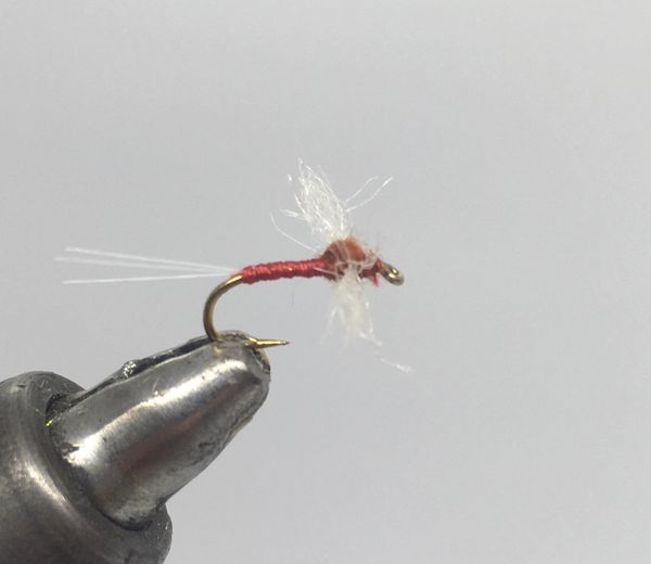 One Dozen (12) - Thread Body Spinner - Rusty - Dry Fly