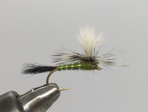 One Dozen (12) - Green Drake Wulff - Dry Fly