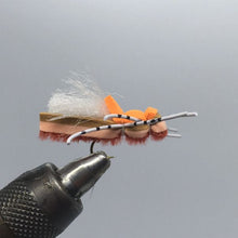 Load image into Gallery viewer, One Dozen (12) - Fat Frank - Pink - Terrestrial