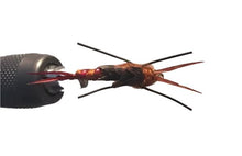 Load image into Gallery viewer, One Dozen (12) - Beadhead Kauffman Rubber Legs Stonefly - Brown