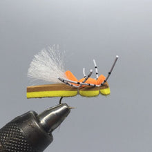 Load image into Gallery viewer, One Dozen (12) - Fat Frank - Yellow - Terrestrial