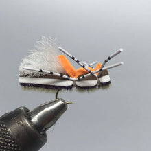 Load image into Gallery viewer, One Dozen (12) - Fat Frank - Grape - Terrestrial