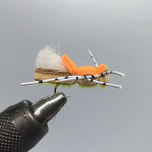 Load image into Gallery viewer, One Dozen (12) Fat Frank Gold Terrestrial- Strike Fly Company