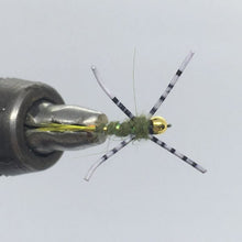 Load image into Gallery viewer, Tungsten Beadhead Jig - Dirty Hipster - Olive - Nymph
