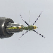 Load image into Gallery viewer, Tungsten Beadhead Jig Dirty Hipster Olive- Strike Fly Company