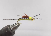 Load image into Gallery viewer, One Dozen (12) - Beadhead Sparkle Stonefly - Golden - Nymph