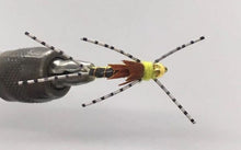 Load image into Gallery viewer, One Dozen (12) - Beadhead Sparkle Stonefly - Golden - Nymph