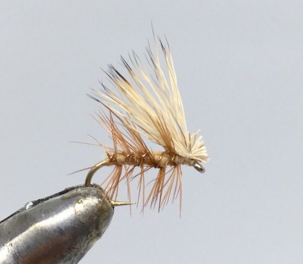 One Dozen (12) - Elk Hair Caddis - Tan - Dry Fly
