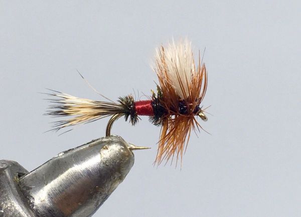 One Dozen (12) - Royal Wulff - Dry Fly