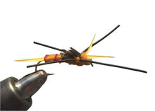 Load image into Gallery viewer, One Dozen (12) - Beadhead Kauffman Rubber Legs Stonefly - Golden