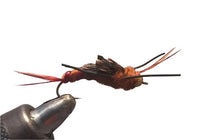 Load image into Gallery viewer, One Dozen (12) - Beadhead Kauffman Rubber Legs Stonefly - Brown