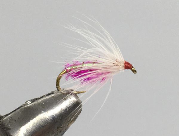 One Dozen (12) - Ray Charles Soft Hackle - Pink - Nymph