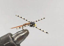 Load image into Gallery viewer, One Dozen (12) - Beadhead Jumbo John - Nymph