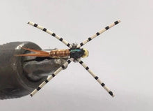 Load image into Gallery viewer, One Dozen (12) - Beadhead Jumbo John - Nymph