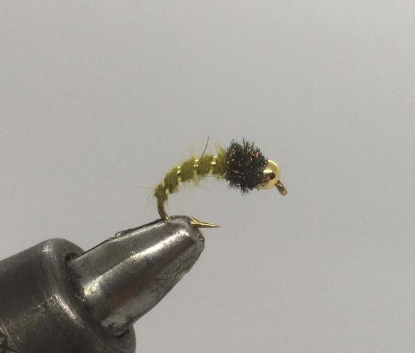 One Dozen (12) - Beadhead Caddis Larva - Olive - Nymph