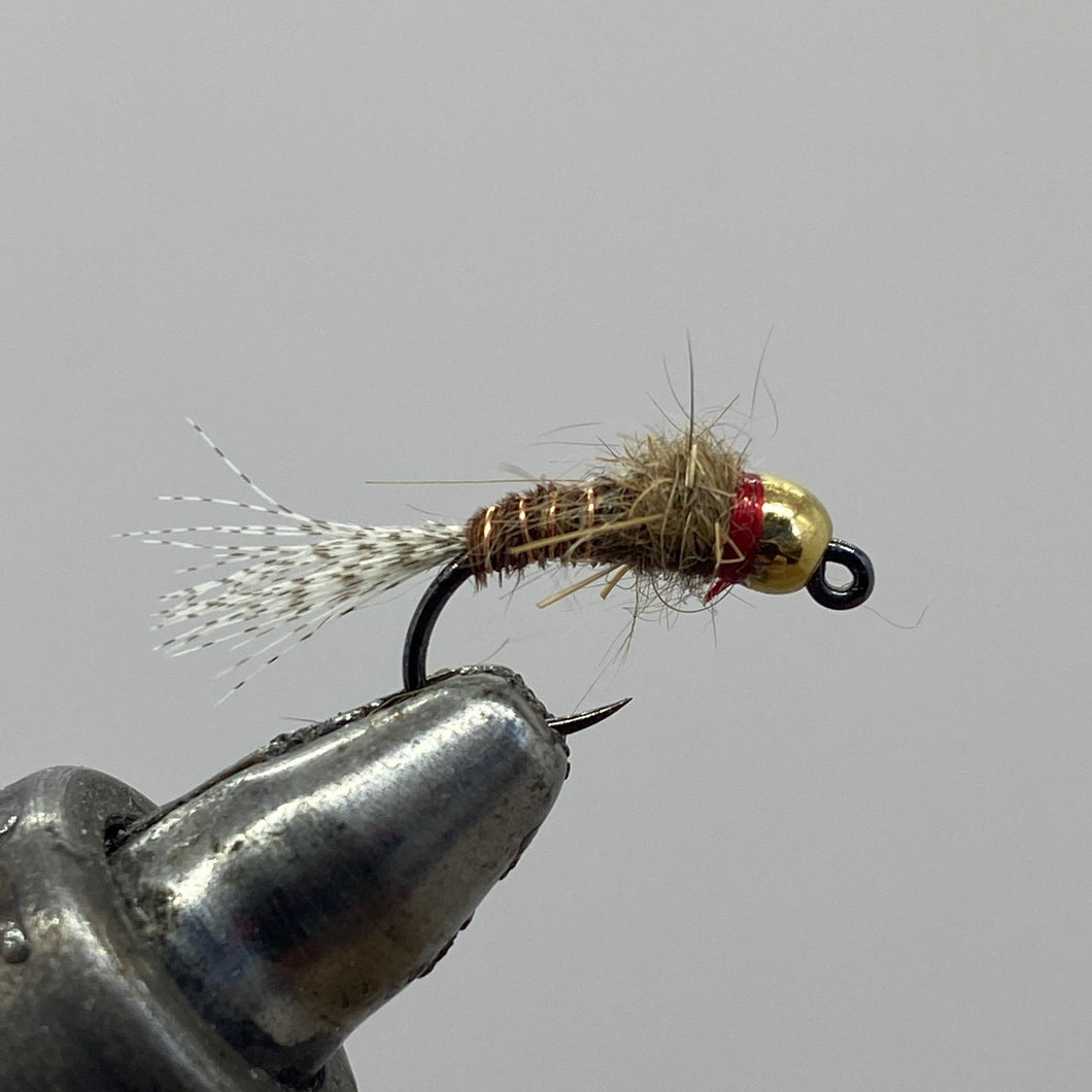 Tungsten Beadhead Jig - Frenchie - Nymph