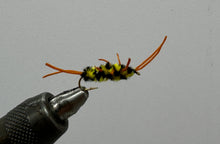 Load image into Gallery viewer, One Dozen (12) - Pat&#39;s Rubber Legs - Black/Yellow - Nymph
