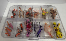 Load image into Gallery viewer, 48 Piece Terrestrial Assortment - A
