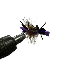 Load image into Gallery viewer, Amy&#39;s Ant Purple, 12 Pack Terrestrial Fishing Lures
