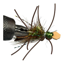 Load image into Gallery viewer, Amy&#39;s Ant Olive 12 Pack- Strike Fly Company
