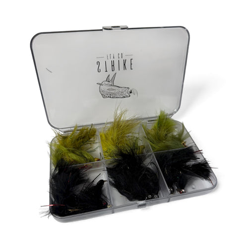 Fly fishing fly box with green and black feathers on a white background