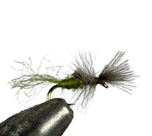 Load image into Gallery viewer, Fishing fly with green body and brown wings on a white background
