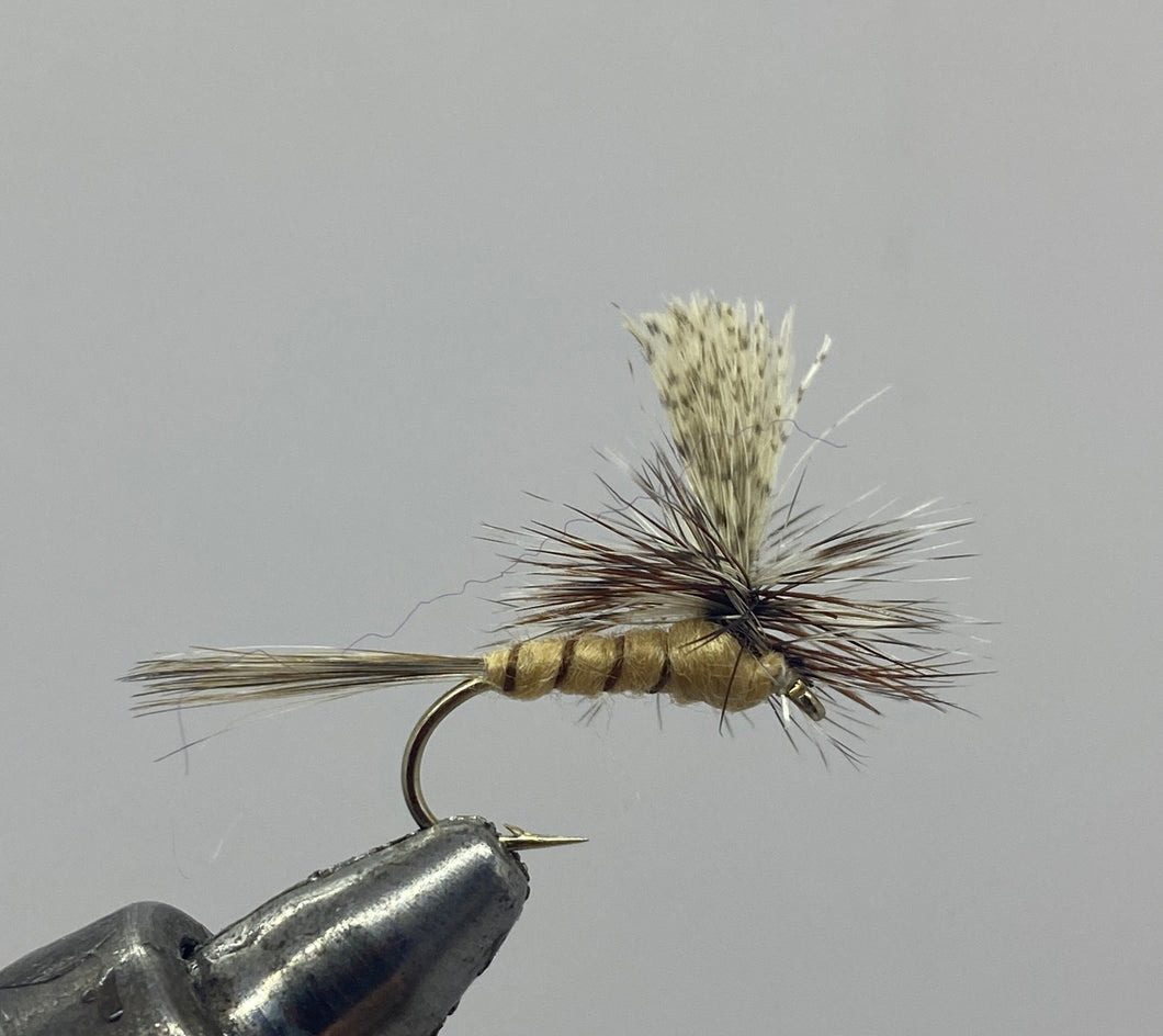 One Dozen (12) - Parachute March Brown - Variant - Dry Fly