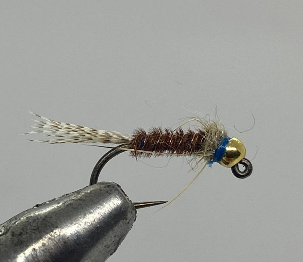 Tungsten Beadhead Jig Frenchie Blue - Nymph