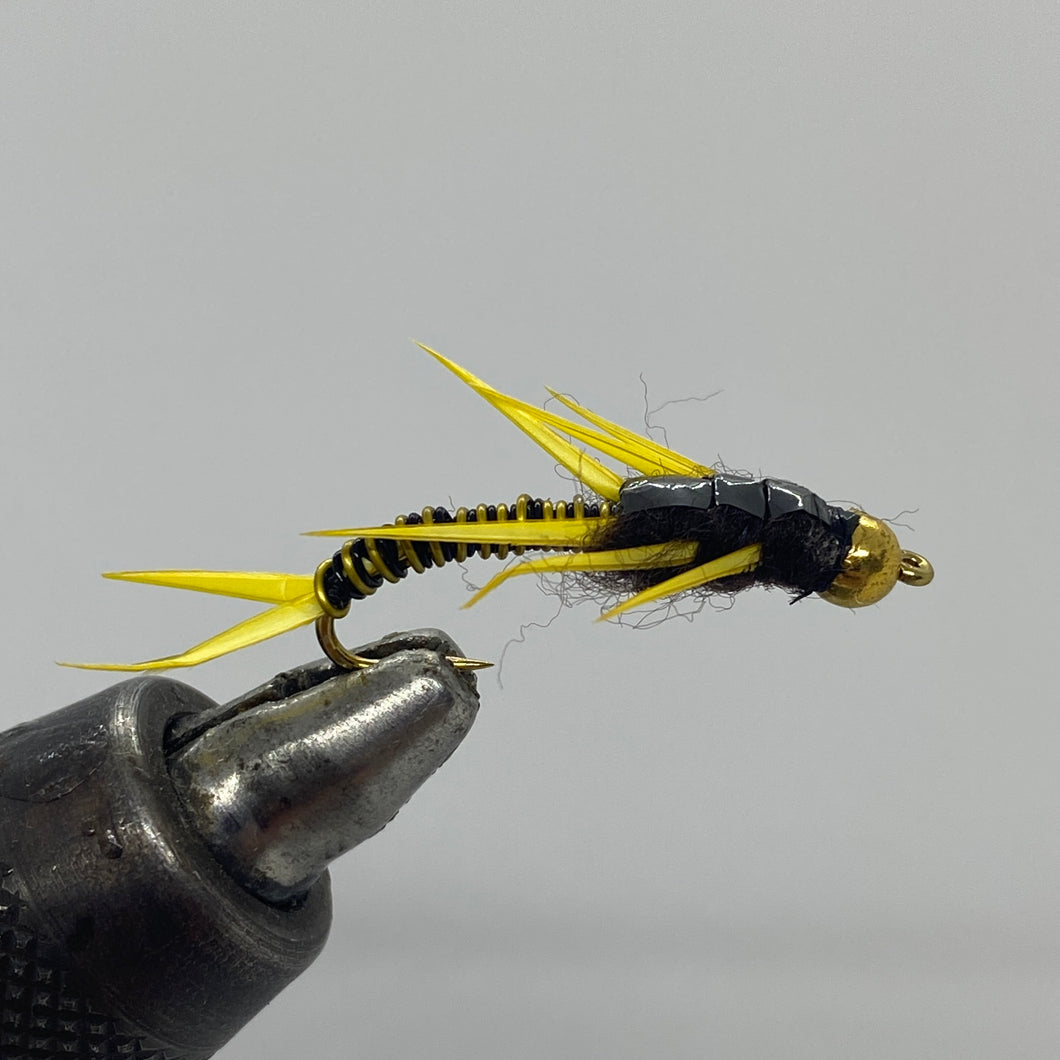 One Dozen (12) - Beadhead Wired Stonefly - Gold/Black