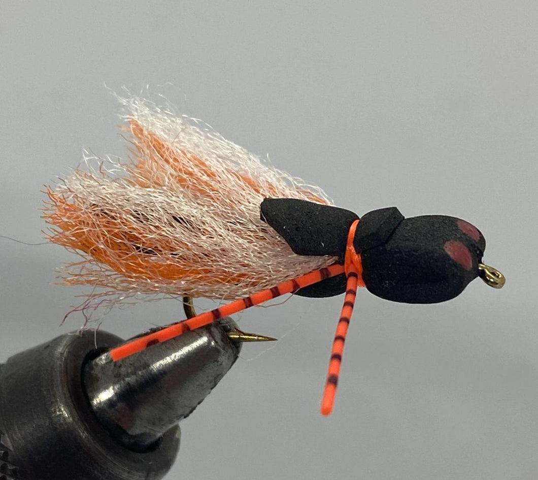 One Dozen (12) - Foam Cicada - Dry Fly – Strike Fly