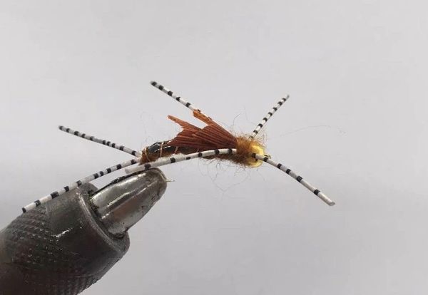One Dozen (12) - Beadhead Sparkle Stonefly - Brown - Nymph