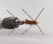 Load image into Gallery viewer, One Dozen (12) - Beadhead Sparkle Stonefly - Brown - Nymph

