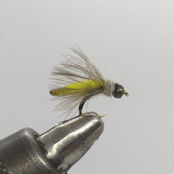 One Dozen (12) - Tungsten Beadhead - Caddis Pupa - Nymph